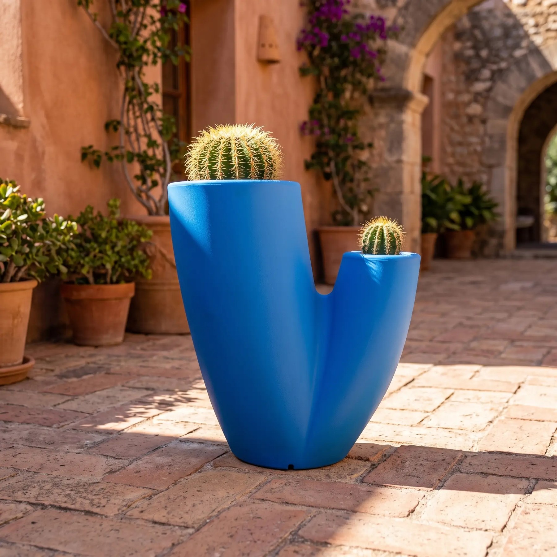 Cactus Vazo